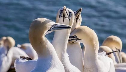 开云博彩-“跑出亲子情，牛仔3K亲子跑燃情香港”