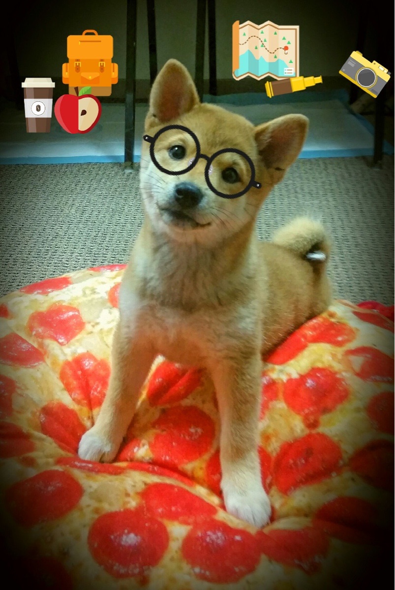 KAIYUNAPP-史上“炸裂”的扣篮大赛，谁才是真正的“飞人王”？，飞人扣篮视频