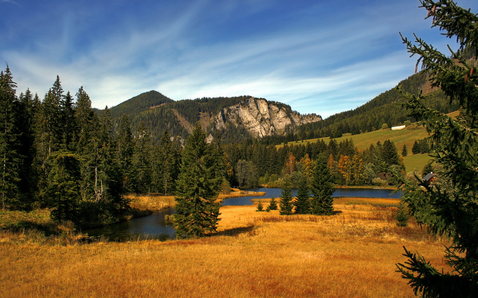 开云官方网站-意甲战火不断，明星球员表现抢眼，精彩瞬间不断，意甲明星赛