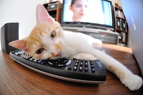 开云入口-青少年篮球“未来之星”全国系列赛全面启动，未来星篮球培训