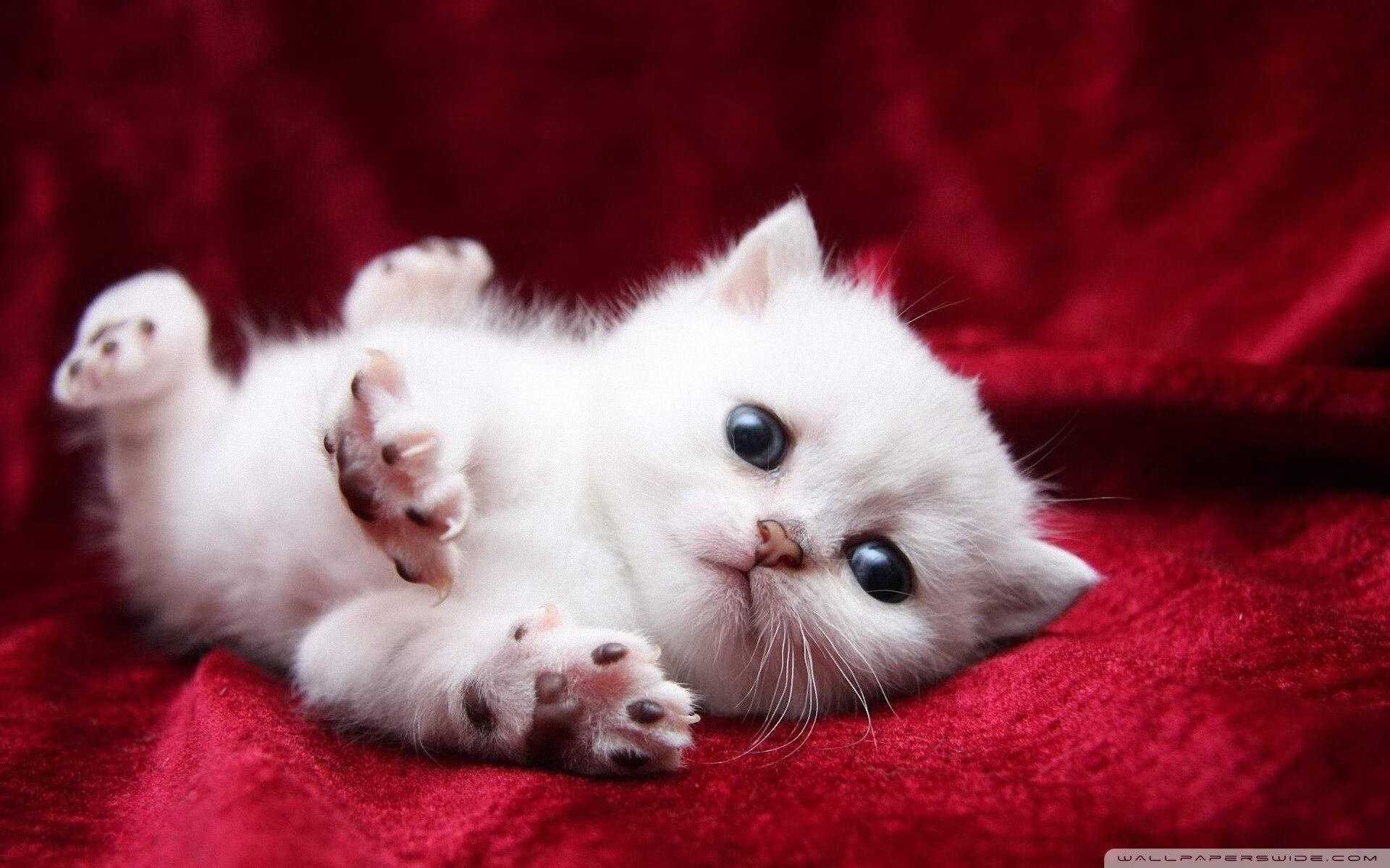 静态瑜伽体验营，身心灵的放松之旅，瑜伽静态伸展是什么意思