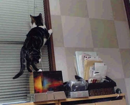 kaiyun开云·官方网站-青训教材全面升级，融入科技元素培养新时代少年足球员，青少年足球青训大纲