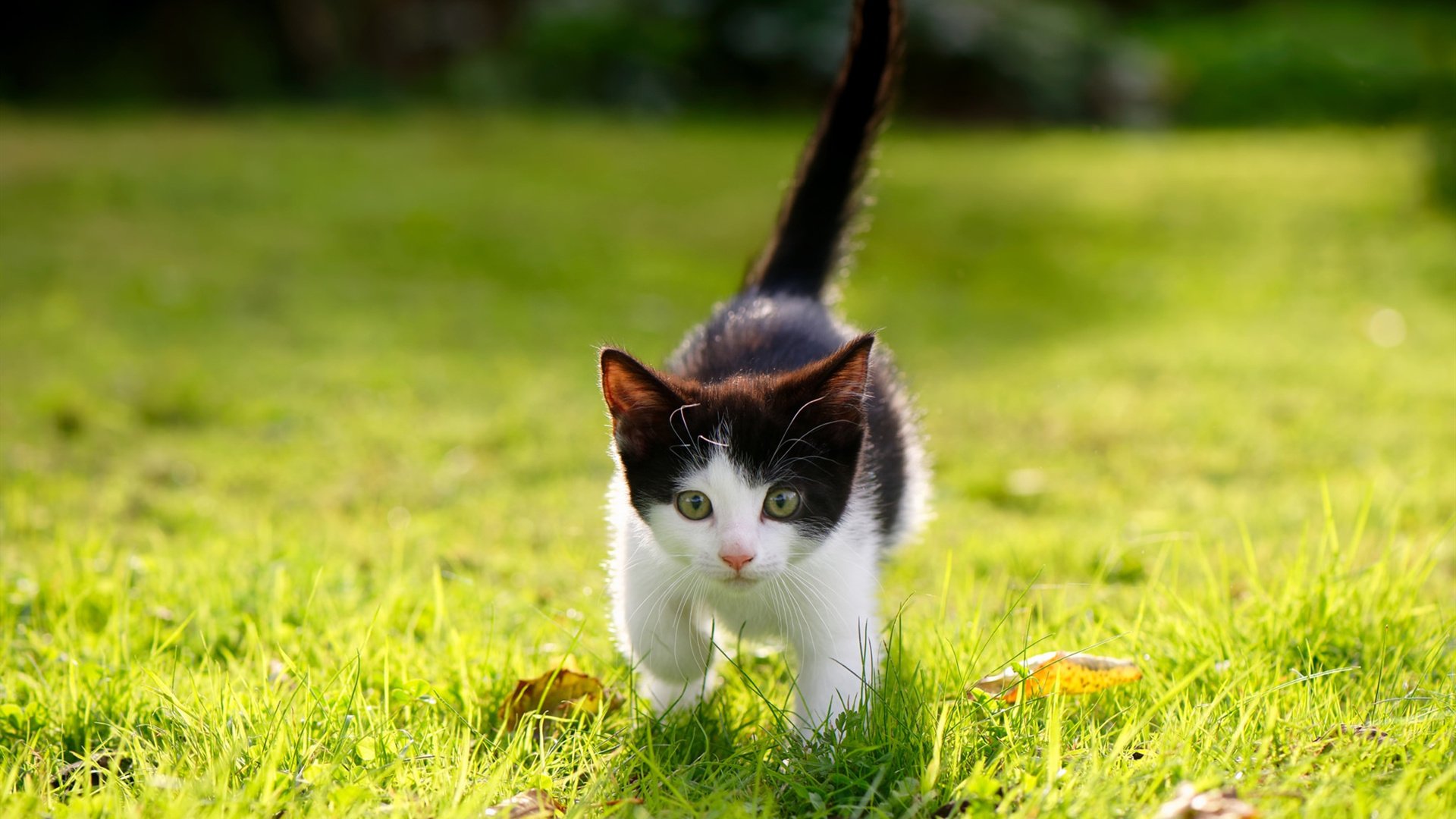 开云·体育官网-JDG加强选手团队协作能力专项训练