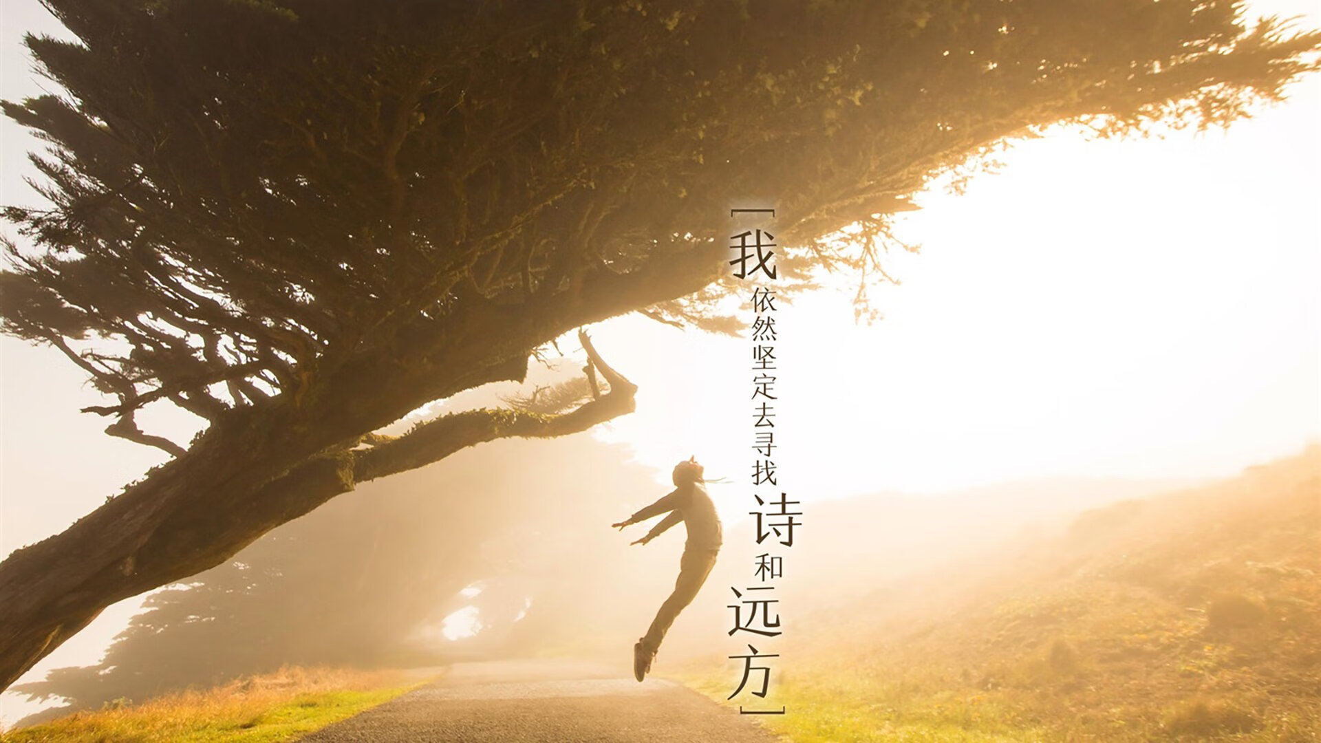 利物浦球星莱万多夫斯基领衔拜仁对决弗赖堡,利物浦拜仁交手记录