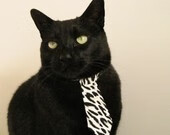 国足技术动作细节提升明显，国足日常训练