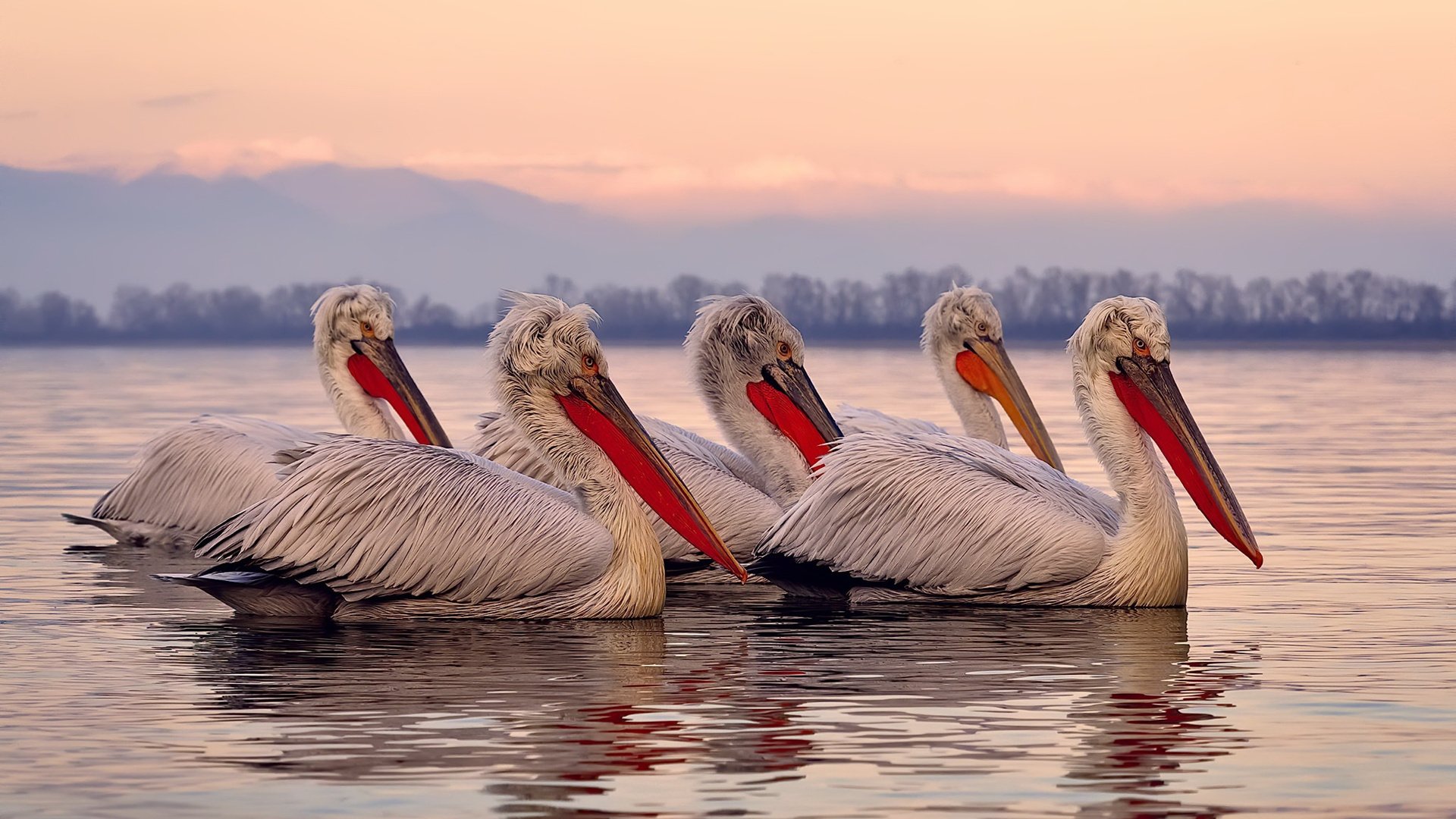 普拉提教练培训质量参差不齐，亟需规范化管理，普拉提教练培训哪个好