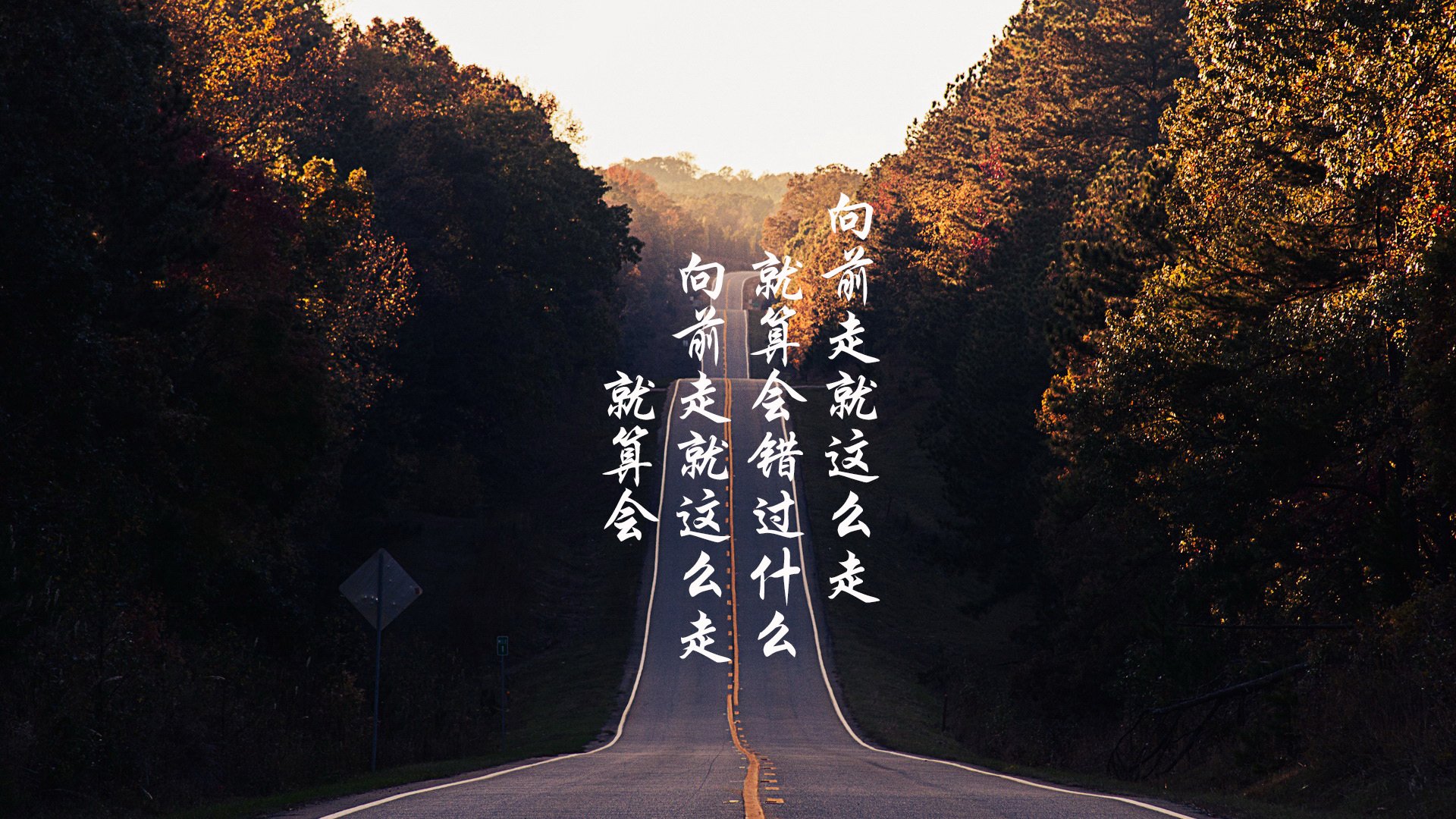 波鸿对决沃尔夫斯堡,德乙升班马较量,沃尔夫斯堡对阵波鸿