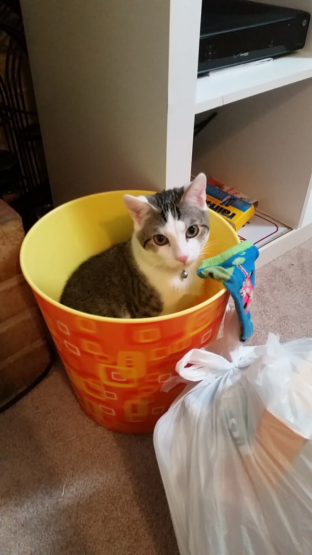 深圳佳兆业对阵天津泰达,实力碰撞中会有怎样的结局?,天津泰达2_0深圳佳兆业