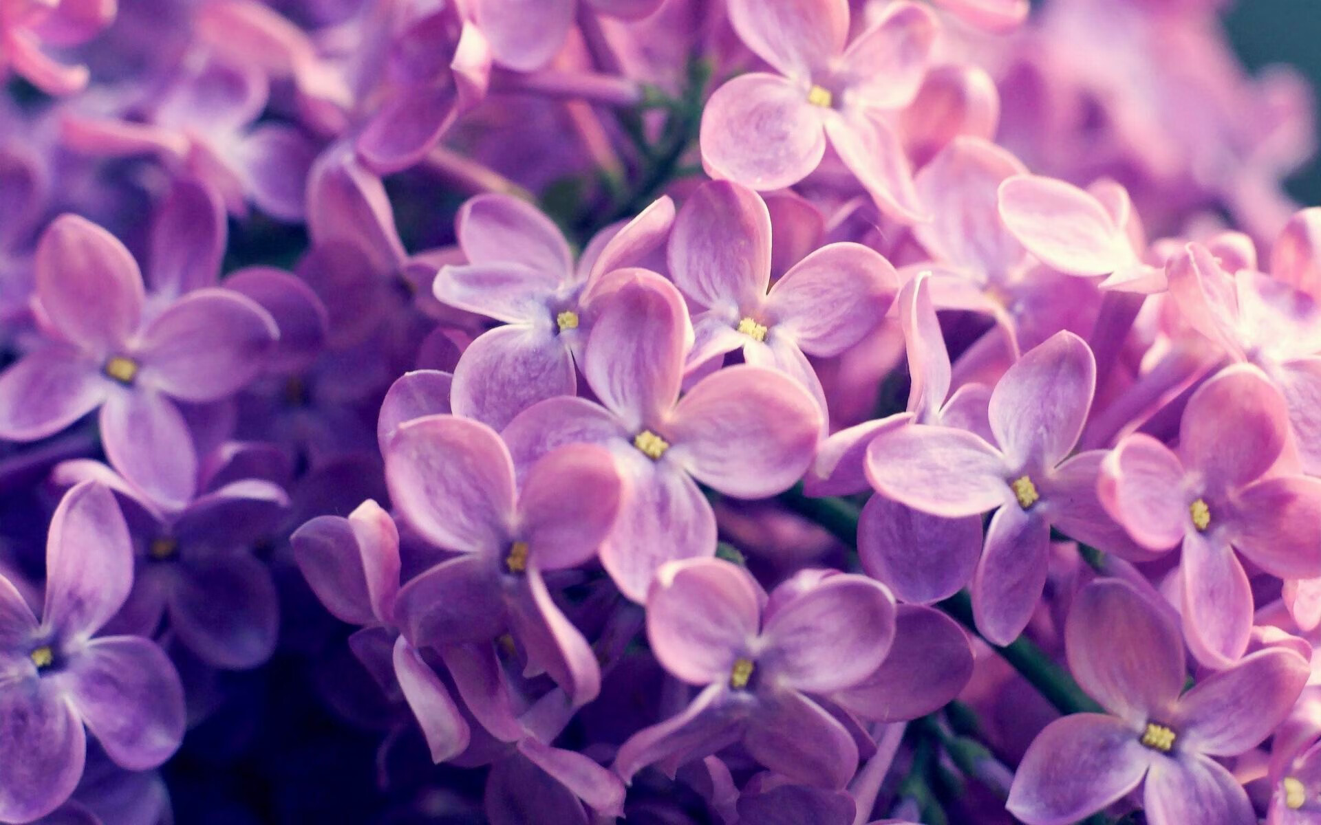 贵州男篮坚决不失，球员拼尽全力取得胜利！，贵州男篮球星