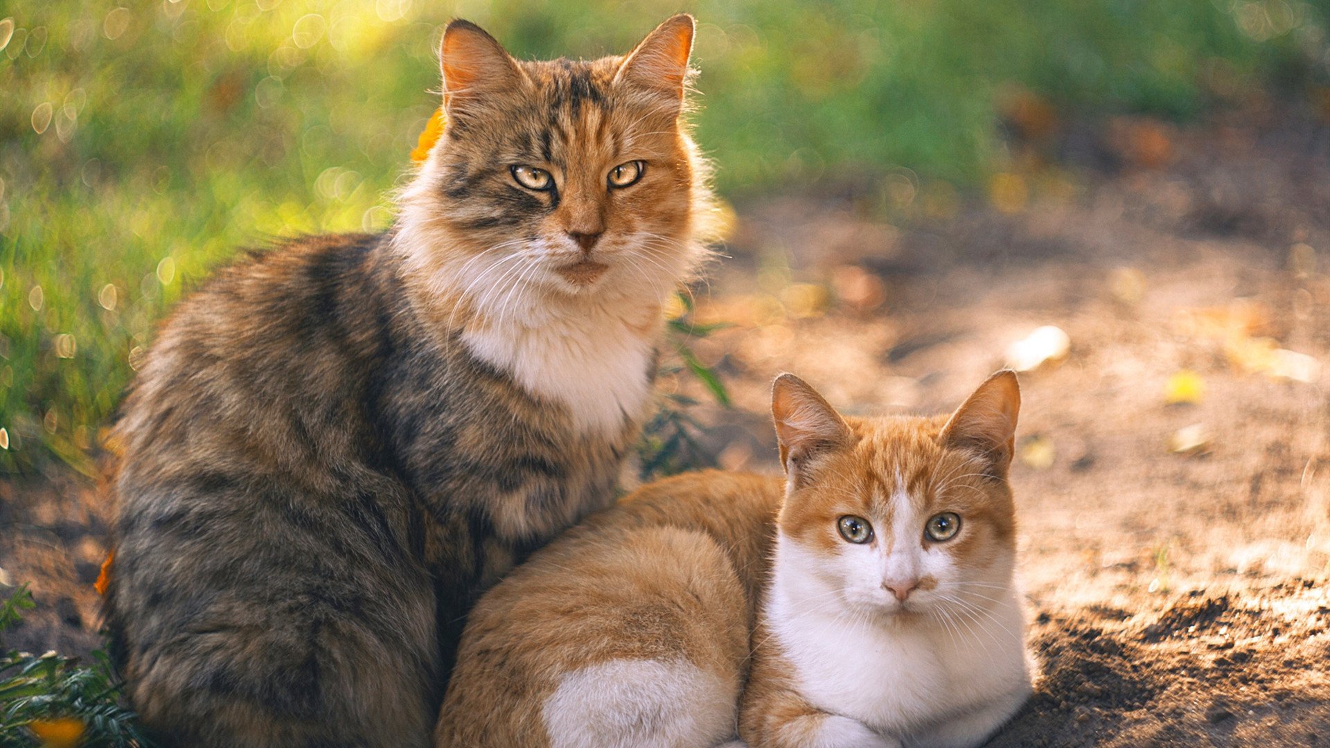 kaiyun登录入口-雄鹿快船主场对战，球星对决精彩纷呈，雄鹿快船比赛