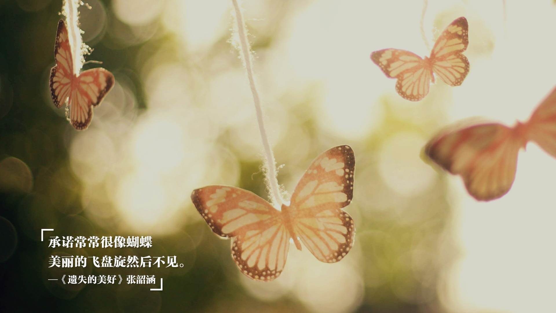 kaiyun登录入口-中国足球大赛准备期训练强度曲线分析，2021年中国足球试训