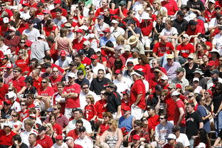 开云体育-体育赛事观众满意度影响因素研究，体育赛事关注度