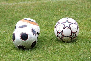 Kaiyun APP-未来足球市场：数字资产与足球产业的融合，足球概念数字货币