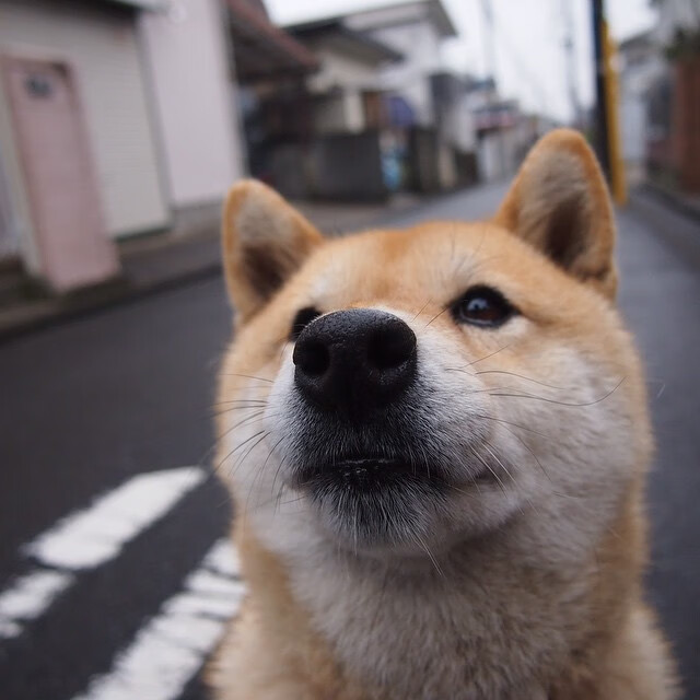球员转会策略:如何在转会季实现最大价值,球员转会是怎么操作的