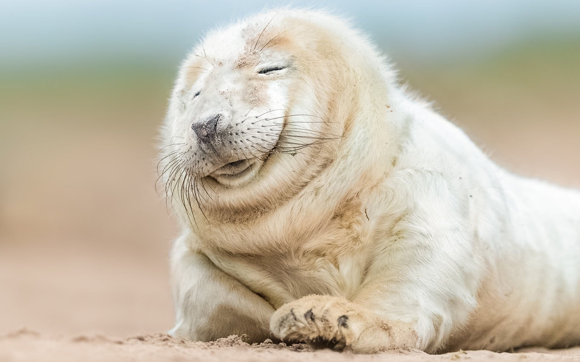 佛罗伦萨通过连续传导拉开空间，佛罗伦萨因什么而著名