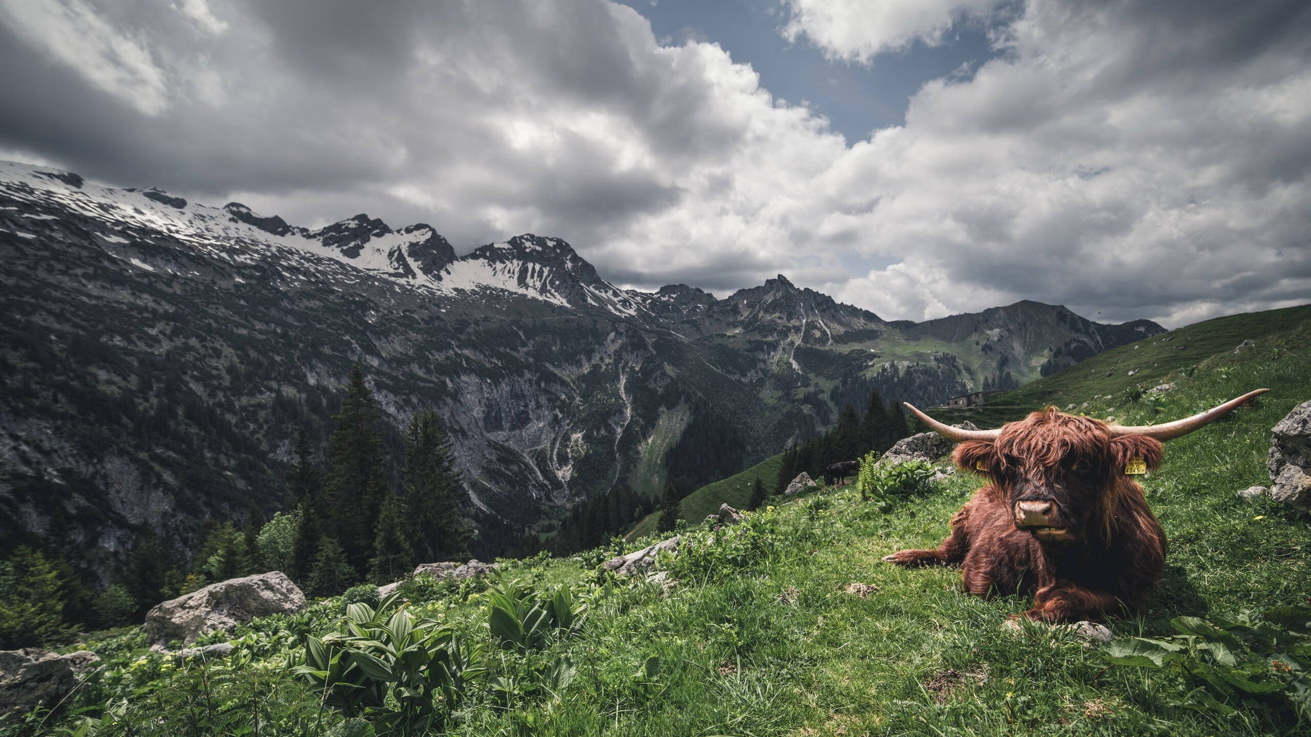 控卫掌握节奏的关键技术要素解析，控卫怎么控制节奏