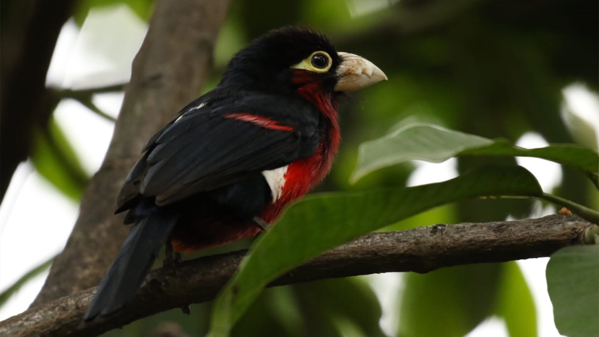 掘金集训营引入沉浸式视觉模拟提升判断力,掘金计划是什么意思