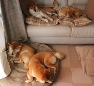 赛事组委会召开安全动员会议确保比赛期间各环节平稳运行,赛事动员会讲话